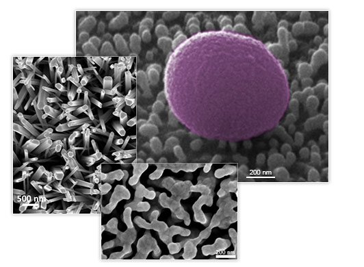 Bioremia biofilm resistant materials